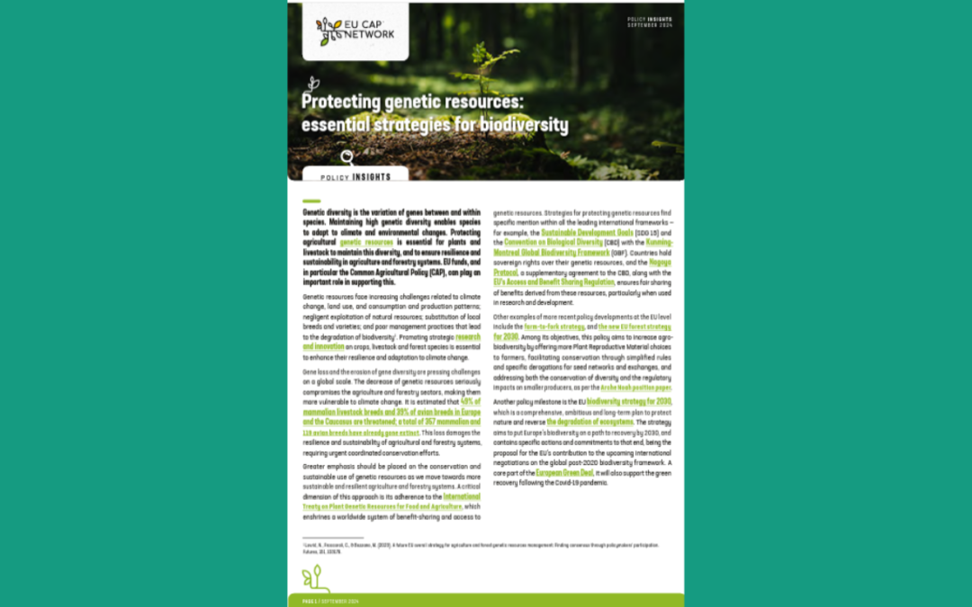 Protecting genetic resources in Europe: the article of EU CAP NETWORK
