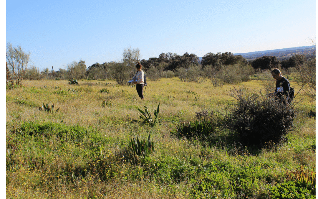 1 – Conserving CWRs in situ – The role of Genetic Reserves