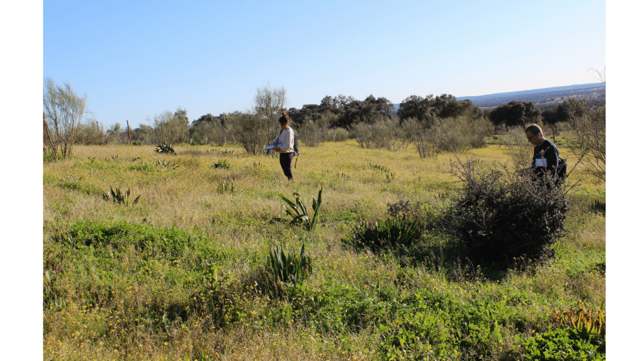 1 - Conserving CWRs in situ - The role of Genetic Reserves