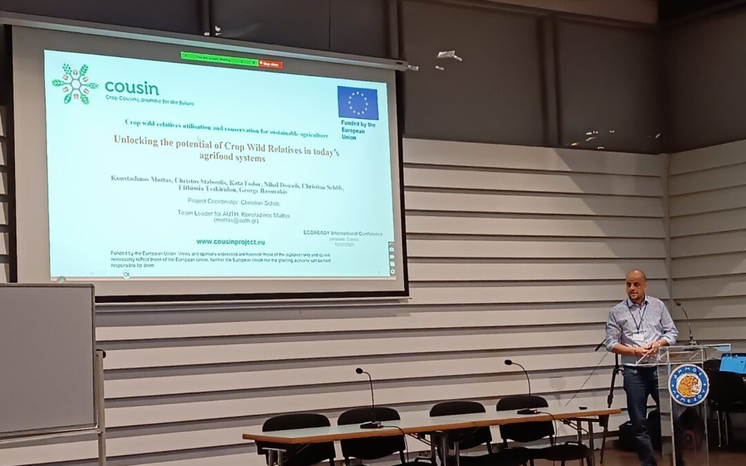 Dissemination and dialogue opportunities: COUSIN’s presence at 2025 Conferences