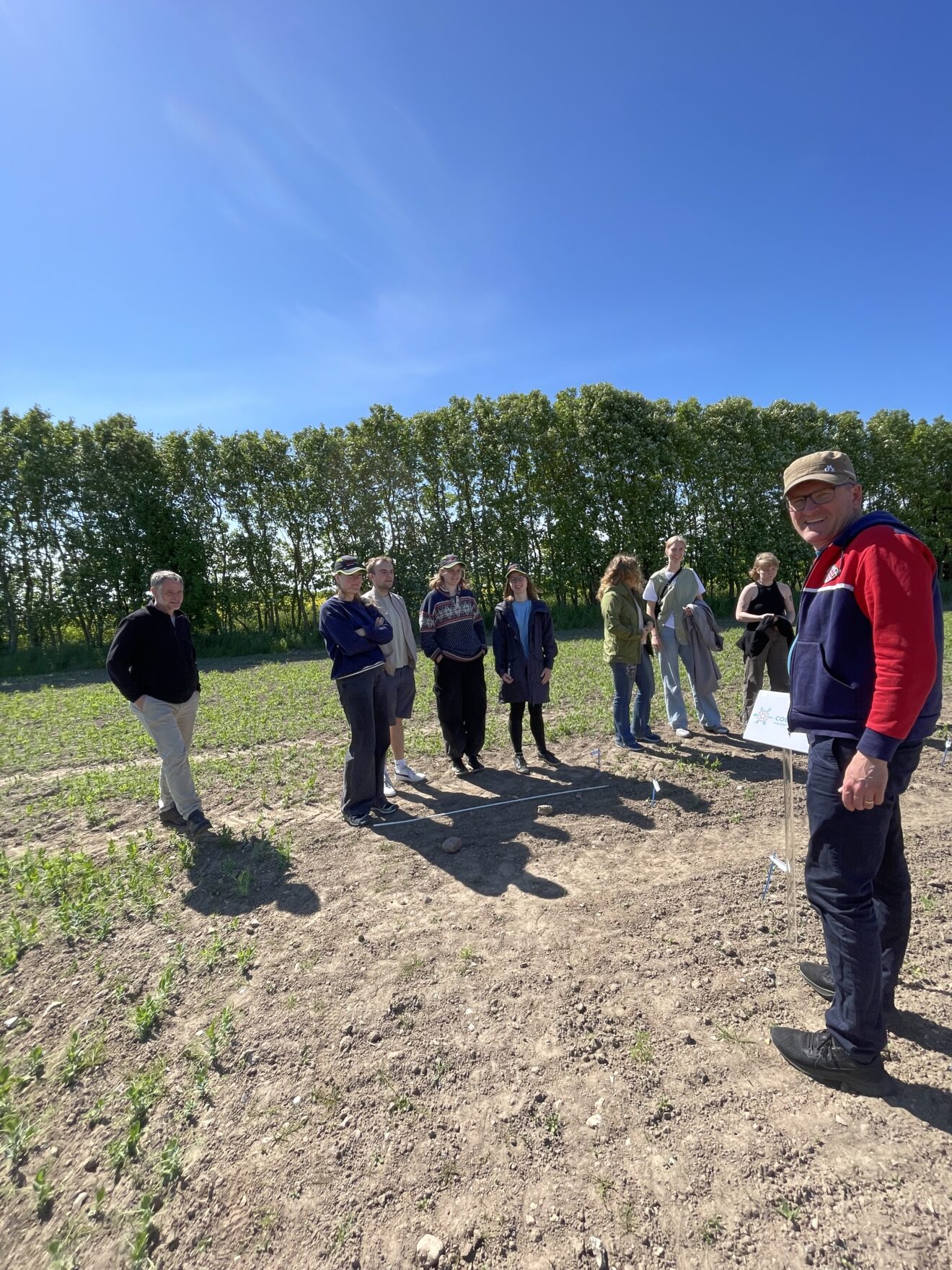 Bachelor students visit field trial with crop wild relatives