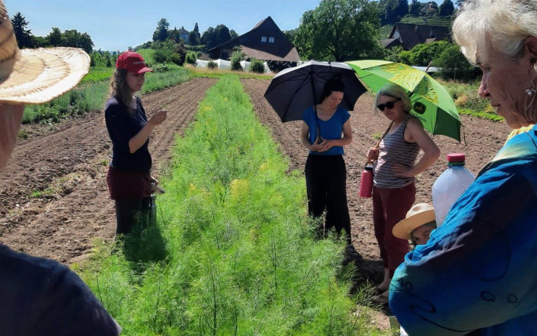 gzpk demonstrated CWRs at the annual training of organic breeders