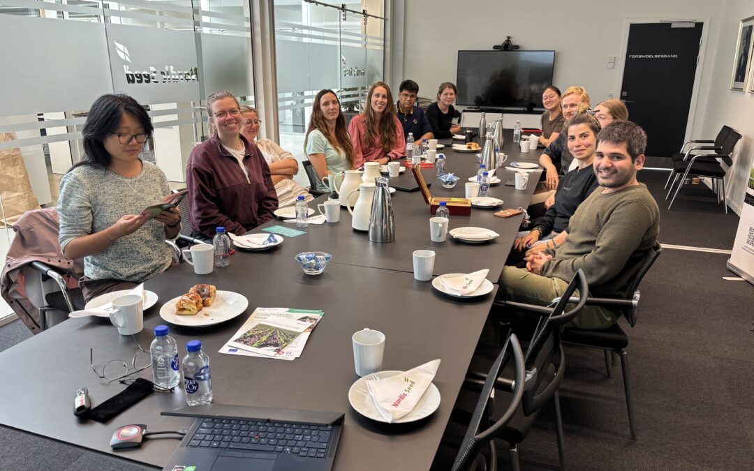 Postdoctoral researchers discuss Crop Wild Relatives in Denmark