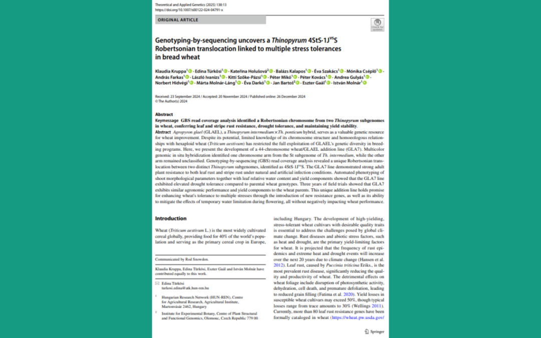 Genotyping-by-sequencing uncovers a Thinopyrum 4StS·1JvsS Robertsonian translocationlinked to multiple stress tolerances in bread wheat