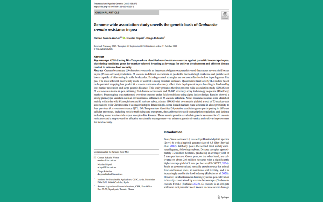 Genome wide association study unveils the genetic basis of Orobanche crenata resistance in pea
