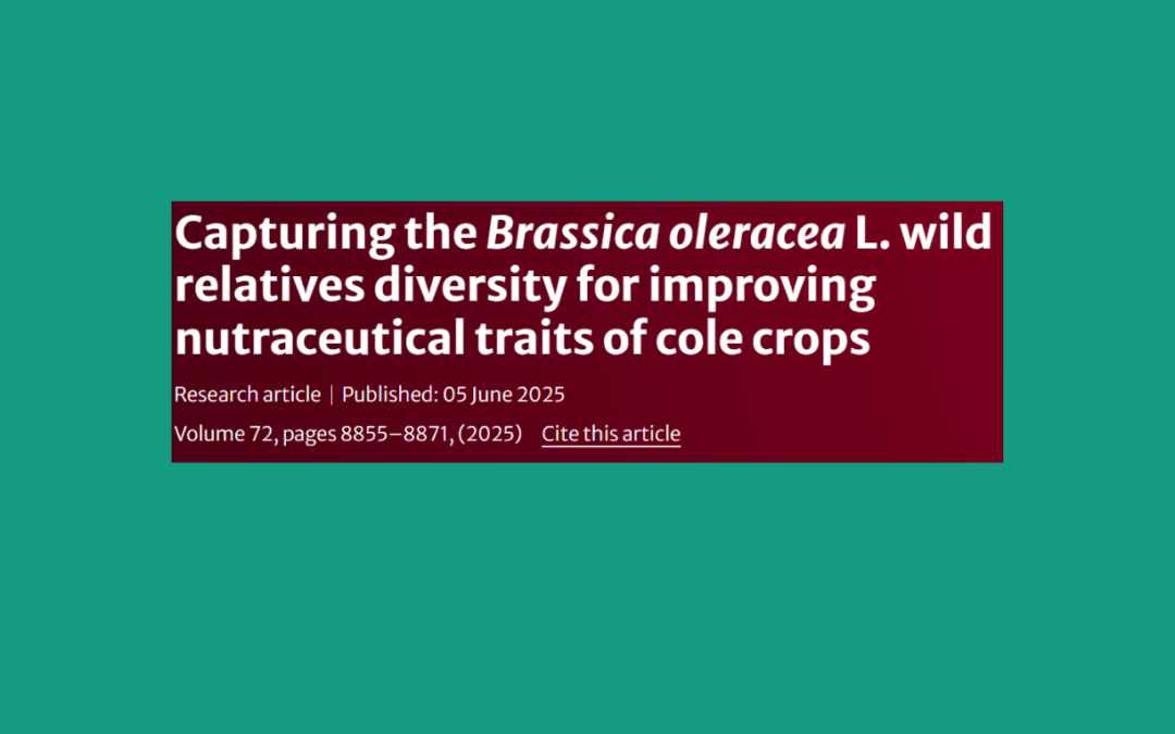 Capturing the Brassica oleracea L. wild relatives diversity for improving nutraceutical traits of cole crops