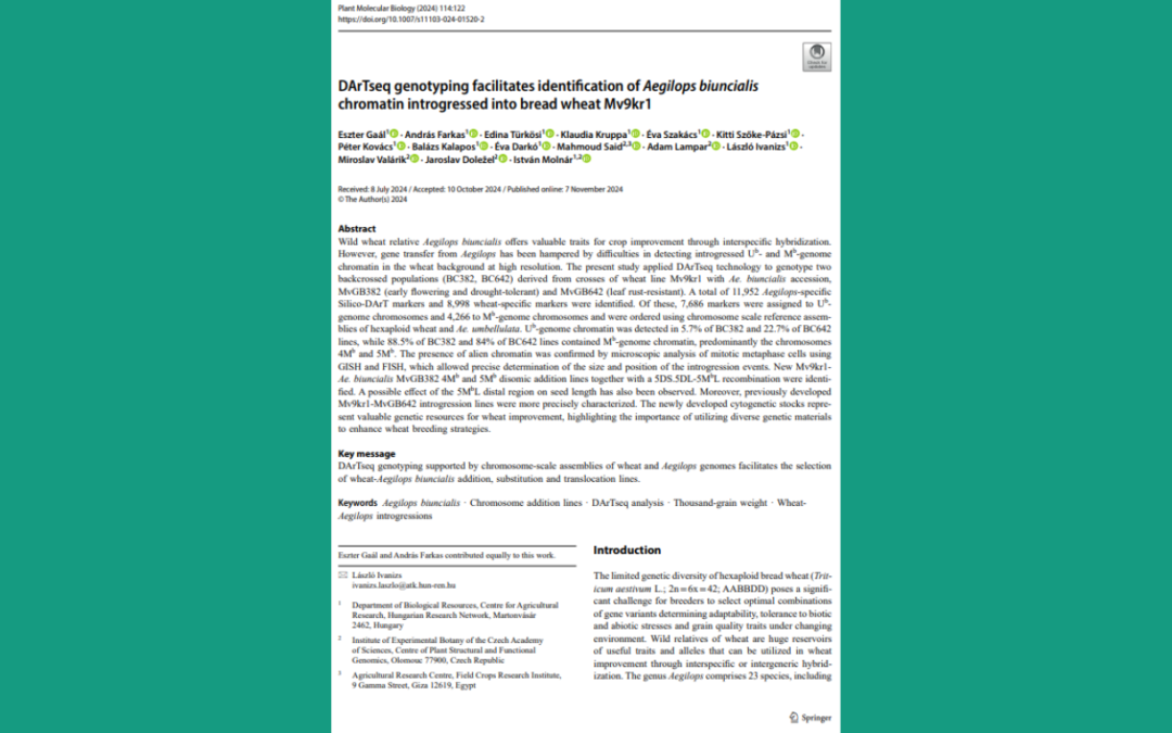 DArTseq genotyping facilitates identification of Aegilops biuncialis chromatin introgressed into bread wheat Mv9kr1. Plant Mol Biol