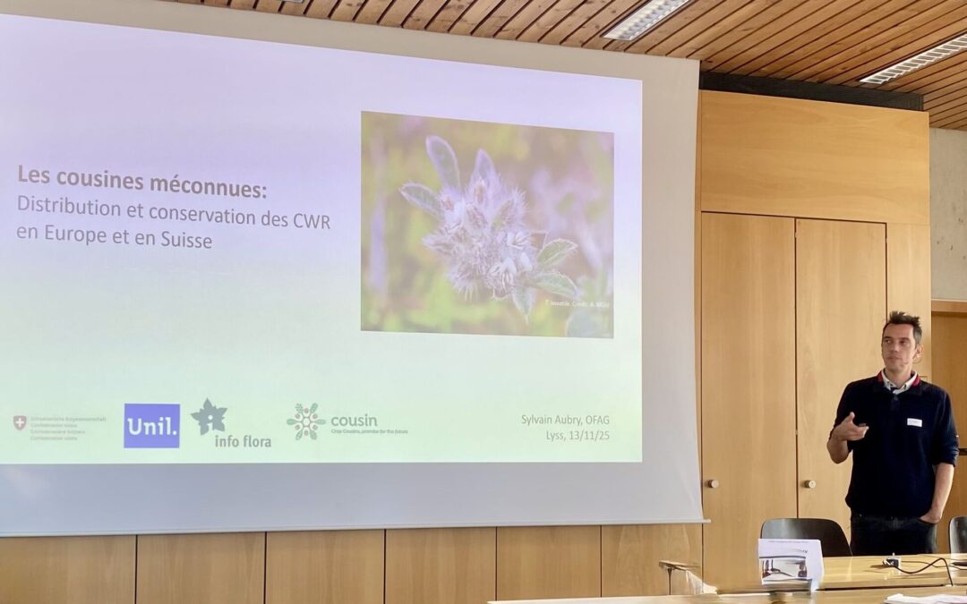 COUSIN results to the Swiss Commission for Cultivated Plants