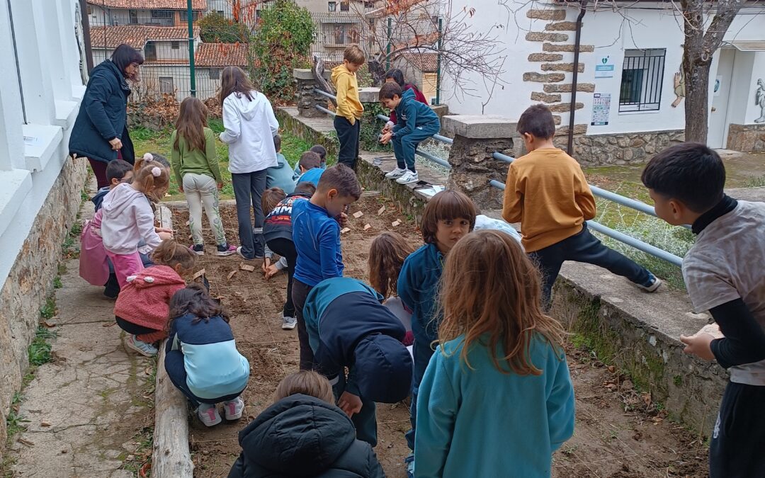 Cultivating Biodiversity: Educational Garden Planting at San Martín School with APRISCO