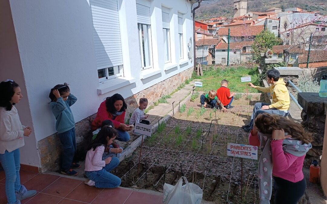 Resowing at San Martín Primary School