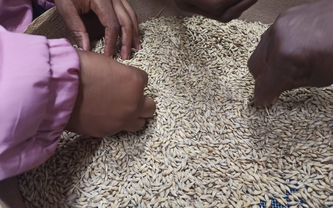 19 – Digital Object Identifiers (DOI) for Crop Wild Relatives – Standardizing CWRs identification globally