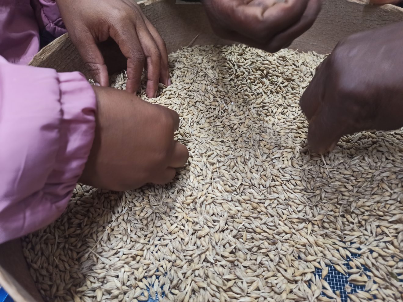 19 - Digital Object Identifiers (DOI) for Crop Wild Relatives - Standardizing CWRs identification globally