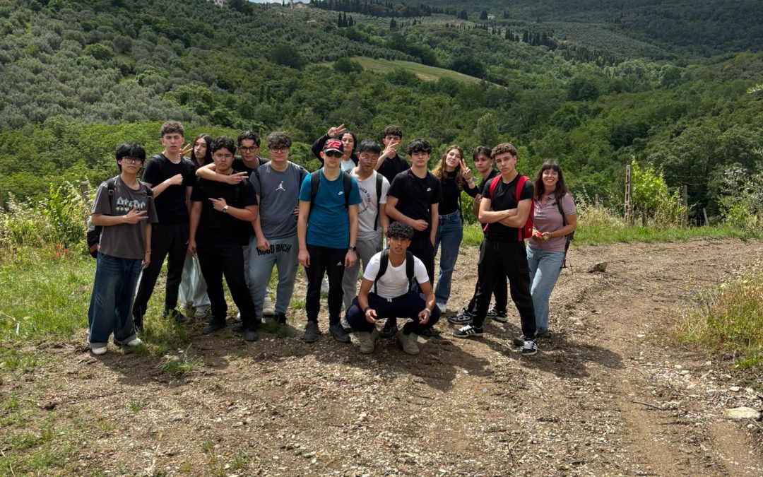 From the field to comics: an educational journey discovering Crop Wild relatives