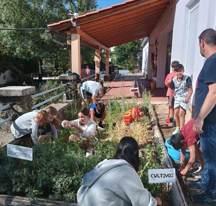 20 – Benefits of Crop Wild Relatives in-situ conservation to ruralcommunities – CWRs as a key player for active, innovative and outdoor rural education