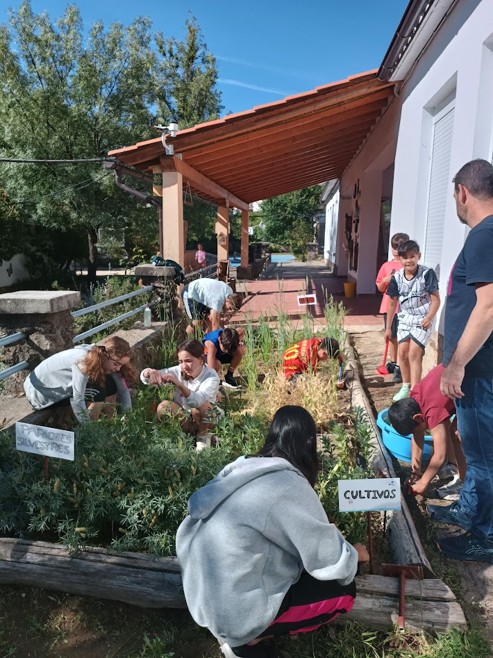 20 - Benefits of Crop Wild Relatives in-situ conservation to ruralcommunities - CWRs as a key player for active, innovative and outdoor rural education