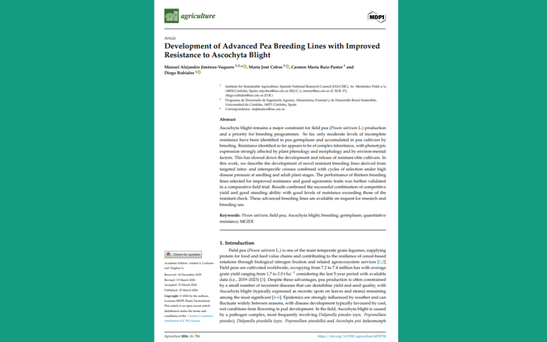 Article reporting development of Ascochyta blight resistant breeding lines
